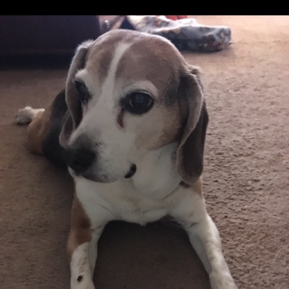 Meet your Posher, Leslie - Picture 2 of 4